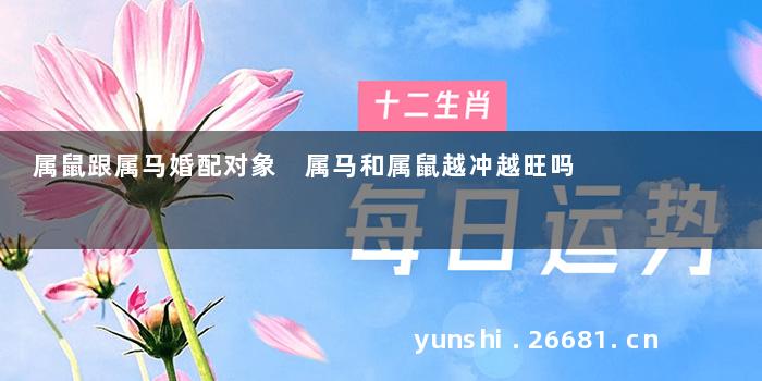 属鼠跟属马婚配对象 属马和属鼠越冲越旺吗